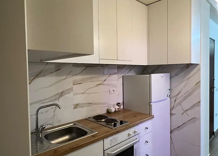 Condor Center Luxury 5 公寓 地拉那